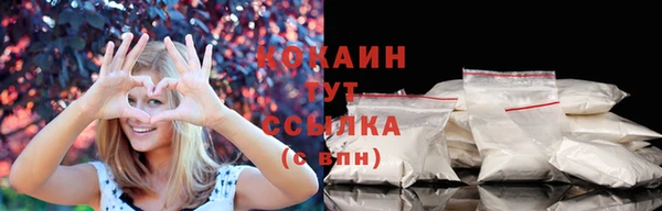 2c-b Алзамай