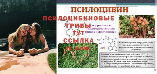 2c-b Алзамай
