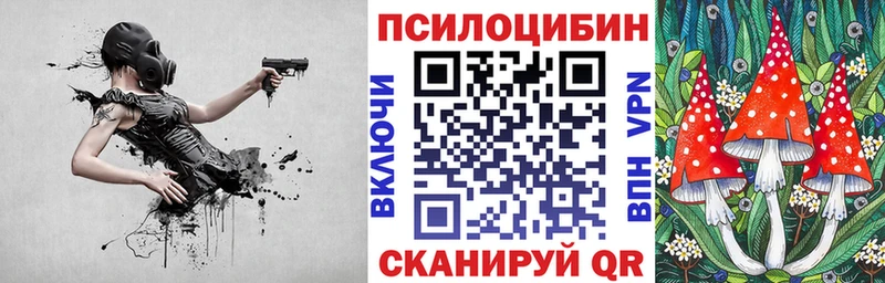 Псилоцибиновые грибы Psilocybe  Юрьев-Польский 